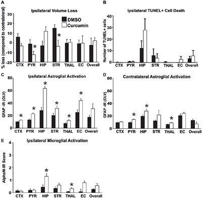 Curcumin: Novel Treatment in Neonatal Hypoxic-Ischemic Brain Injury